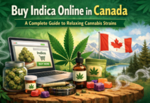 Buy Indica Online in Canada: A Complete Guide to Relaxing Cannabis Strains